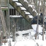 Заснеженный полигон с деревьями и заброшенными постройками в тумане.