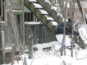 Заснеженный полигон с деревьями и заброшенными постройками в тумане.