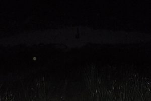 Двое участников в защитной экипировке фотографируются в автомобиле; поверх снимка размещены текстовые облачка.